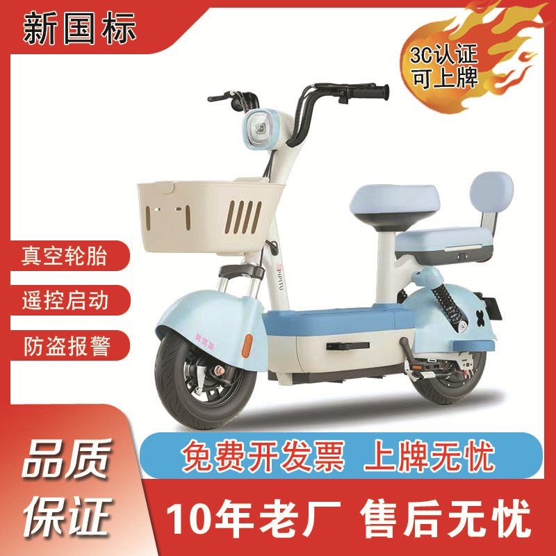 factory direct deliver new national standard electric car electric bicycle adult scooter battery car details Picture