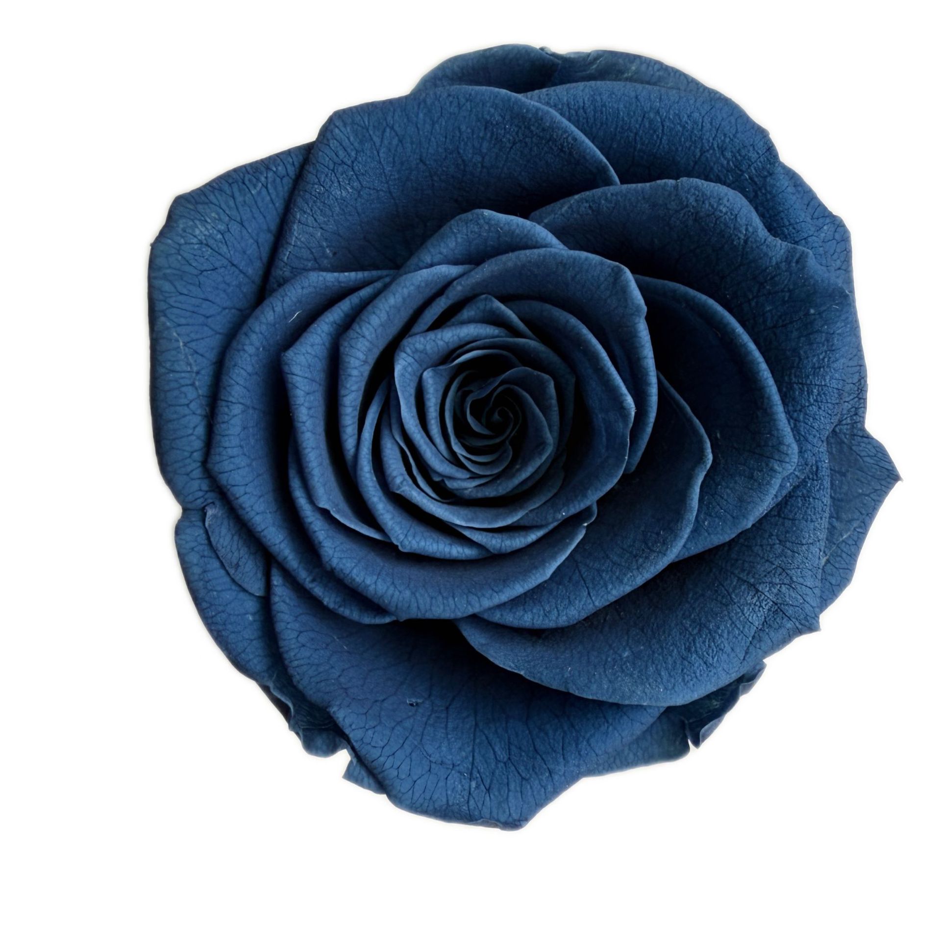 flower immortal flower box diy multi-color accessories b- grade rose flowers flower head spot low price wholesale Specification drawing