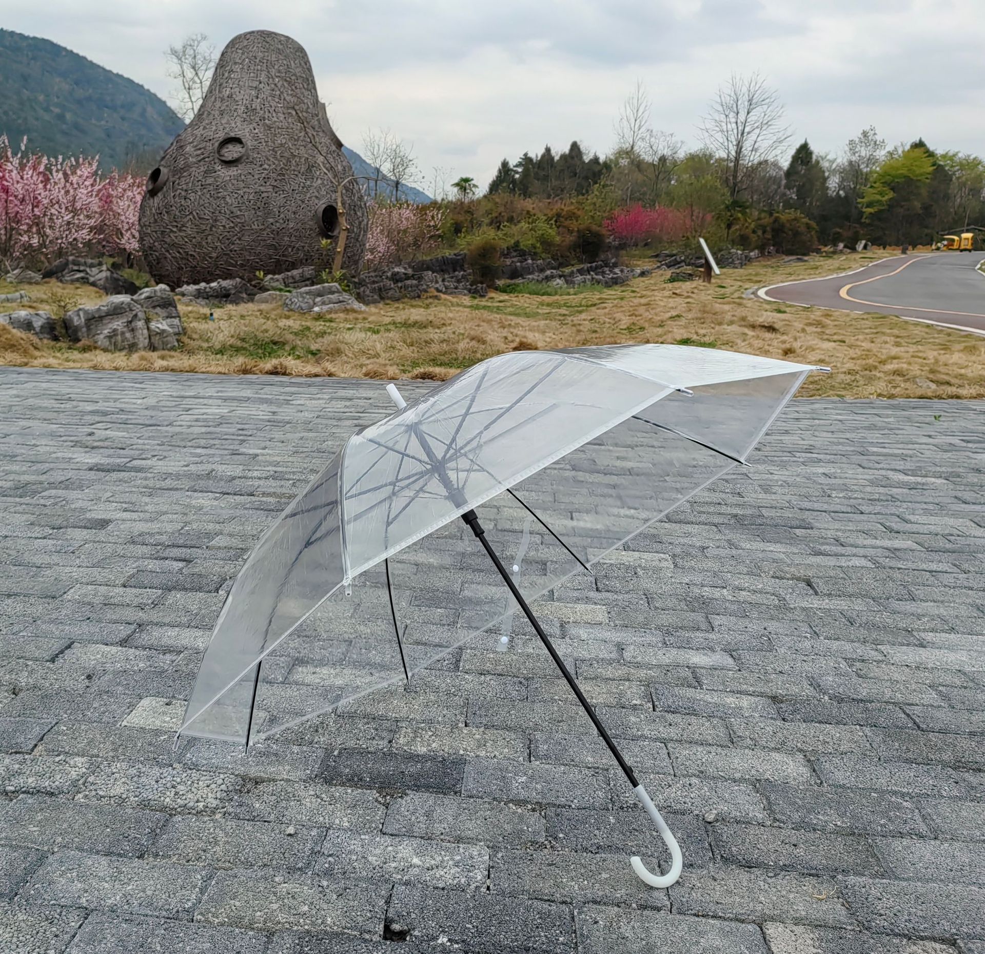 transparent umbrella long handle transparent umbrella disposable umbrella batch simple transparent umbrella children's umbrella advertising umbrella logo full figure