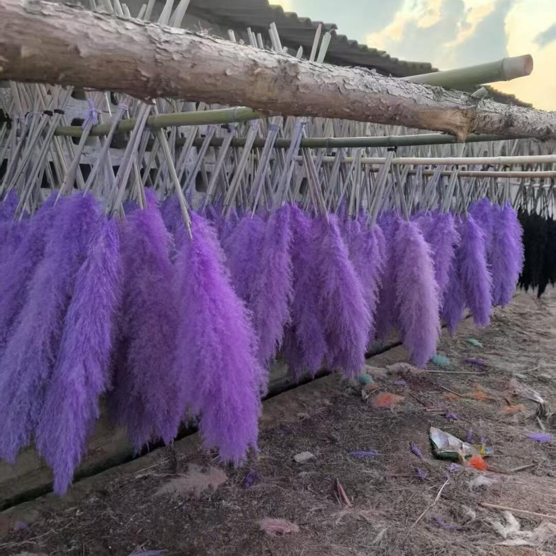 natural reed dried grass flower bouquet floor internet celebrity pampas grass big spike ins wind entry luxury home decoration living room furnishings full figure