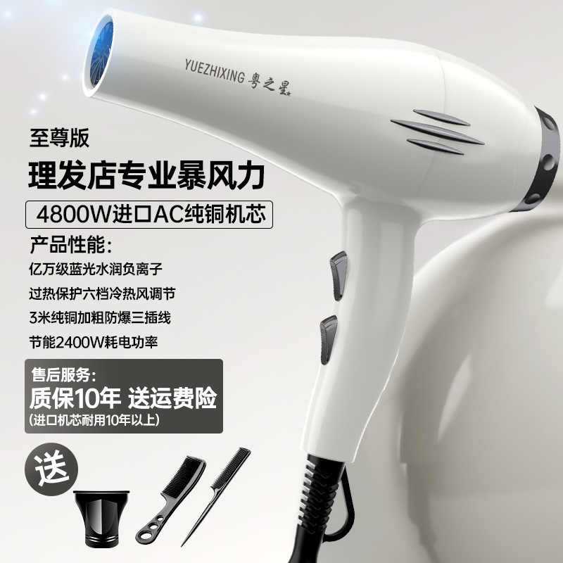 factory wholesale hair dryer high-power blue light anion hair dryer home hair salon quick-drying heating and cooling air hair dryer Item Picture