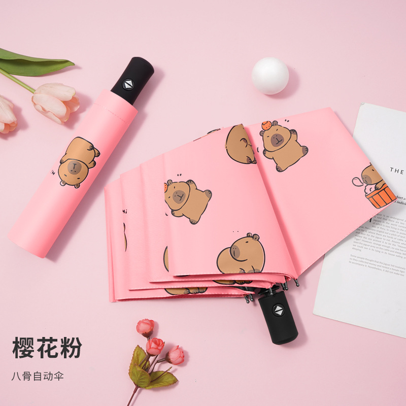 umbrella rain and rain dual-use cute painter hand-made sun protection umbrella automatic folding uv protection sun umbrella Application Scenario