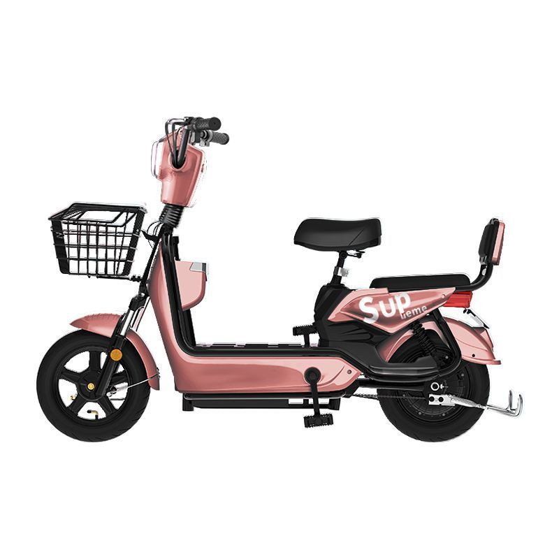 2025 new national standard can be branded electric bicycle battery car lithium battery walking golden eagle free shipping factory direct sales details Picture