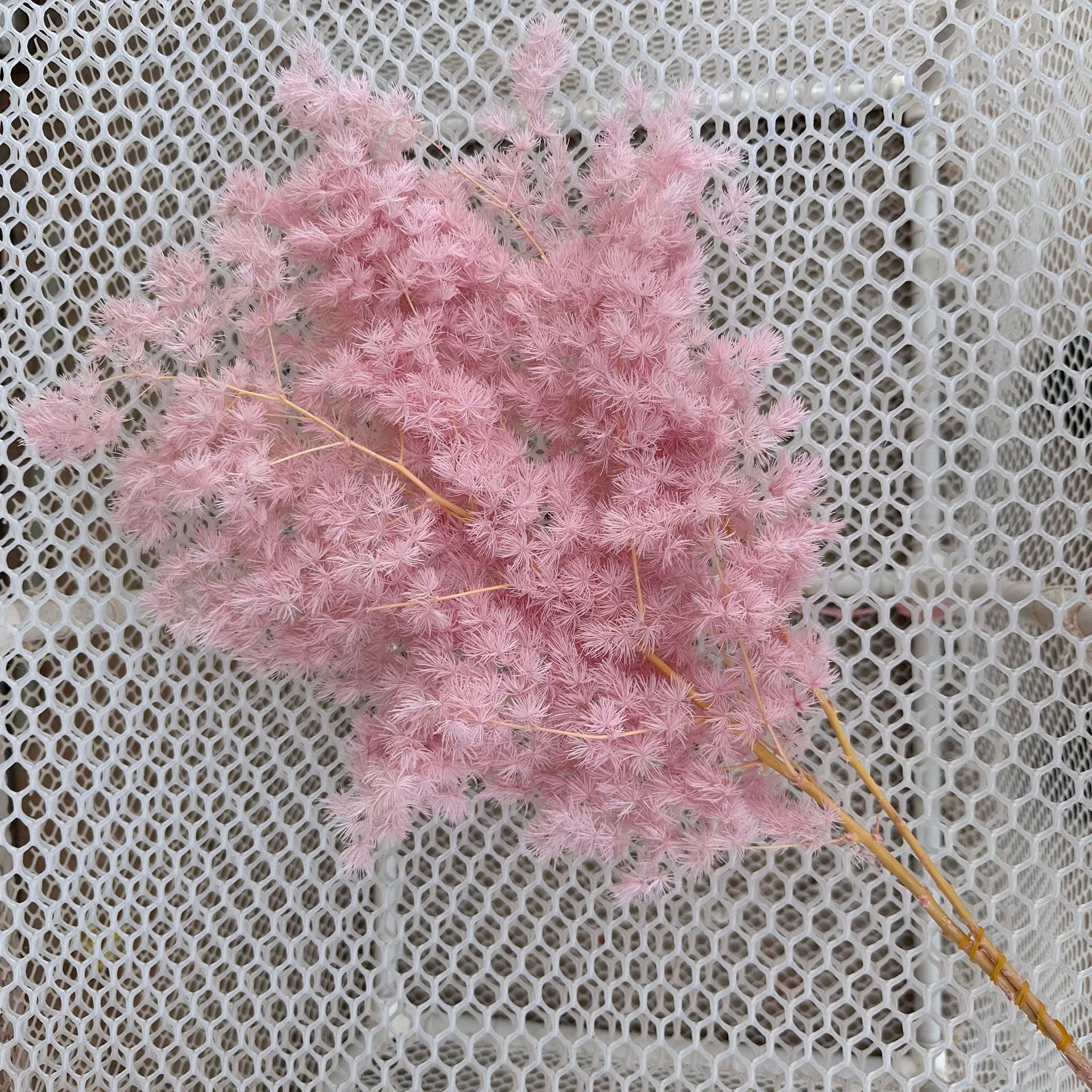 preserved fresh flower penglai song dried flowers bouquet real flower diy accessories wedding celebration decoration soft decoration cross-border supply factory wholesale details Picture