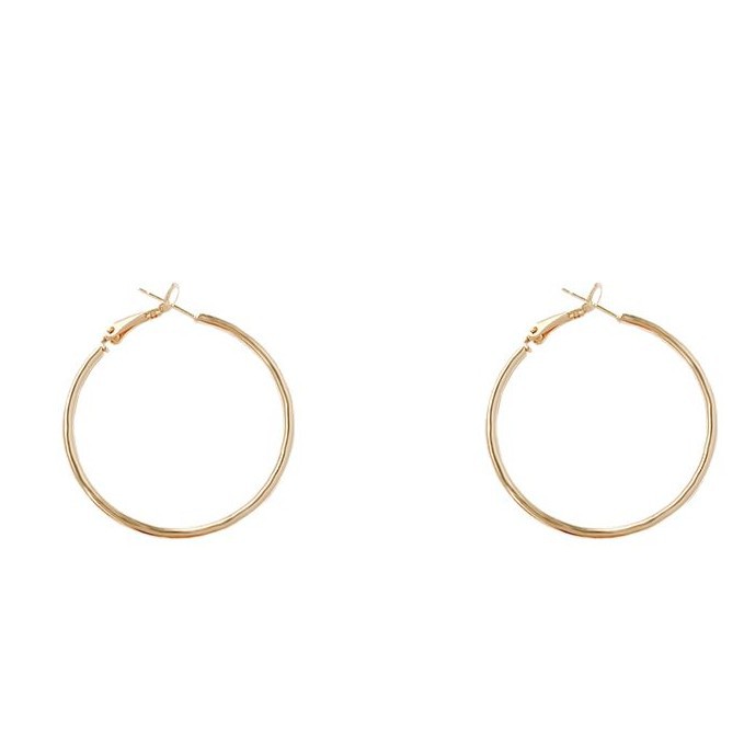 sterling silver needle european and american exaggerated simple bracelet earrings women's high-grade light luxury all-match simple elegant earrings earrings wholesale Item Picture