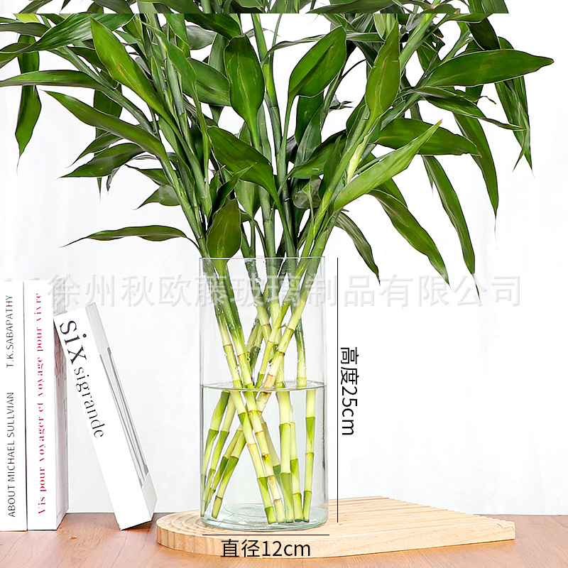 lucky bamboo glass flower vase and flower pot hydroponic ins style decoration straight large vase advanced floor home decoration Item Picture