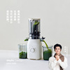 olayks standing juicer separation of juice and residue juicer household automatic slag juice slow grinding large diameter juice-making details Picture