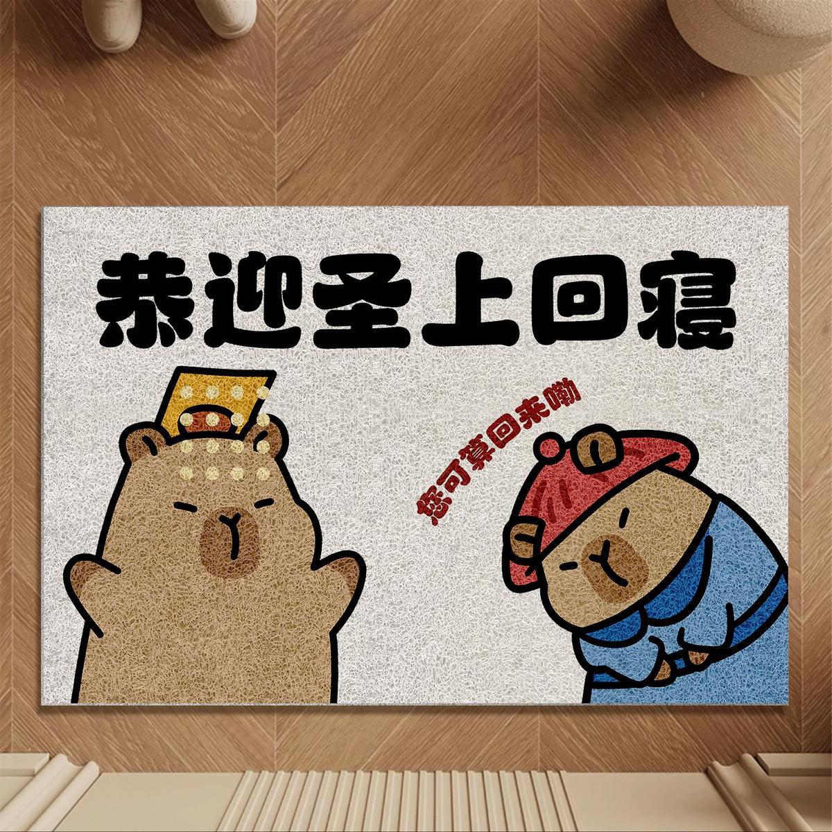 come empty-handed, pvc loop floor mat funny creative entry door carpet door mat entrance entrance mat entrance Item Picture