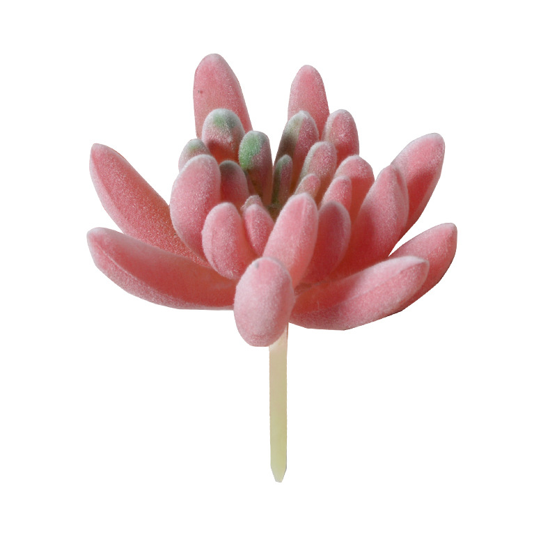 red flocking artificial succulent pant green plant home decoration mini ornaments combination artificial bonsai Item Picture