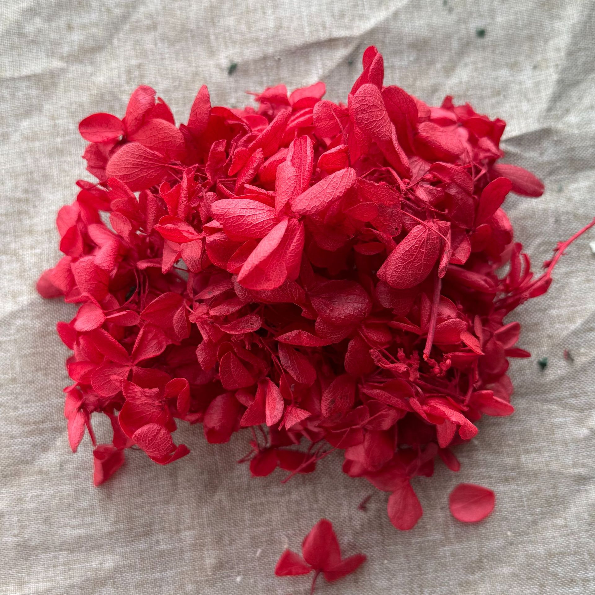 hydrangea preserved fresh flower anna bulk hydrangea petals dried flower eternal flower preserved fresh flower wedding decoration gift handmade accessories Item Picture