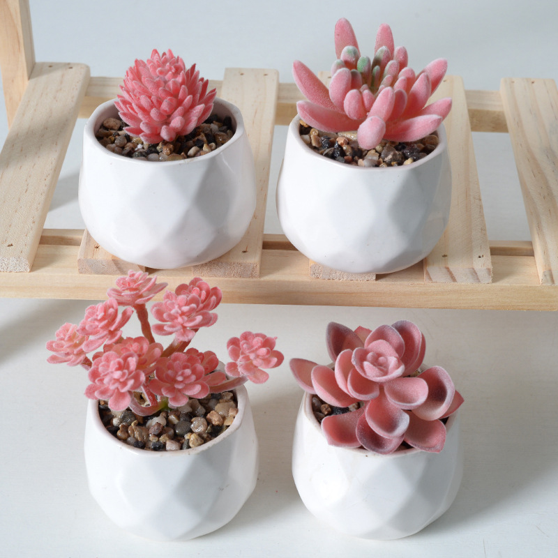 red flocking artificial succulent pant green plant home decoration mini ornaments combination artificial bonsai Specification drawing