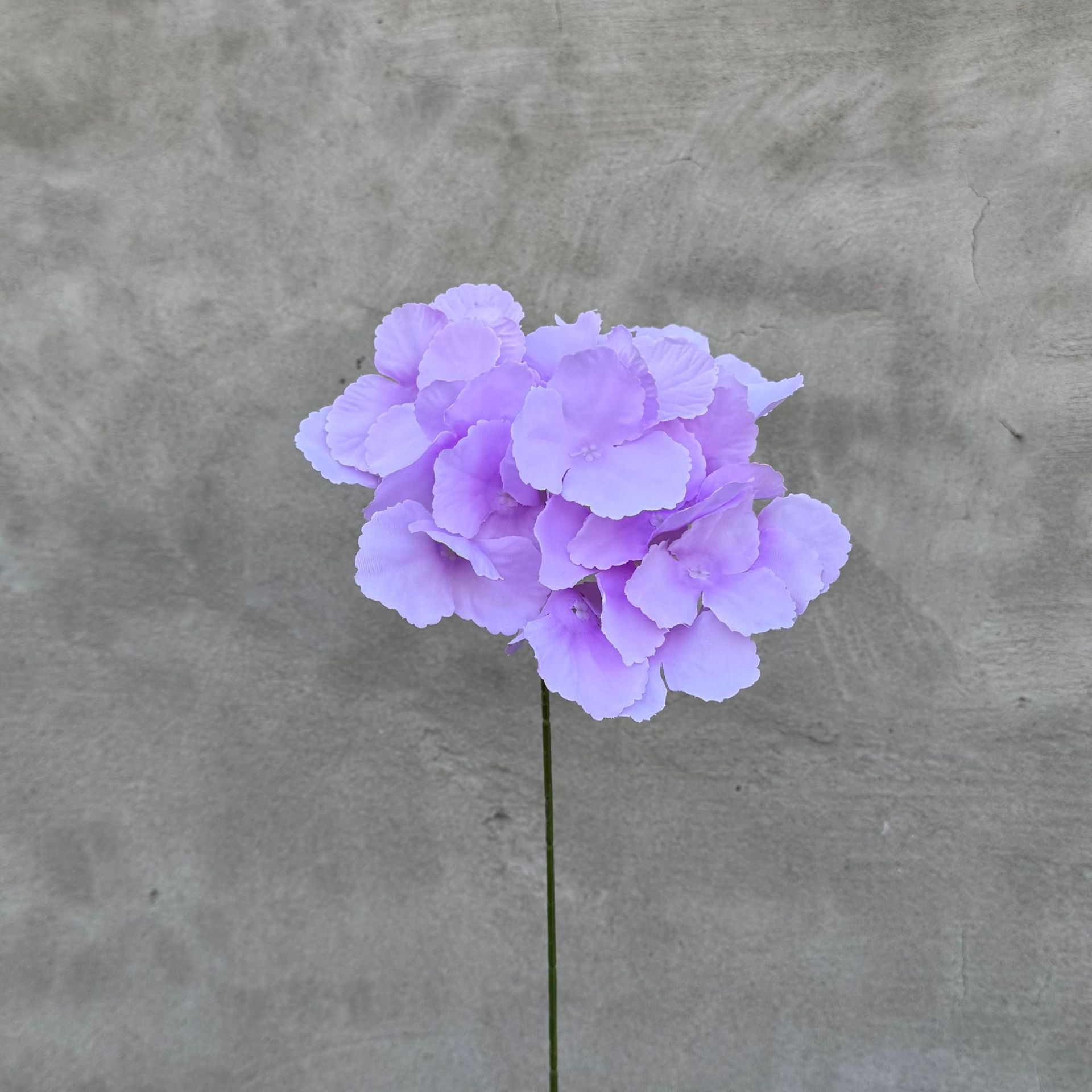 simulation bouquet 5 heads without leaves hydrangea fake flower for wedding diy decoration road lead silk flower foreign trade cross-border simulation hydrangea Specification drawing