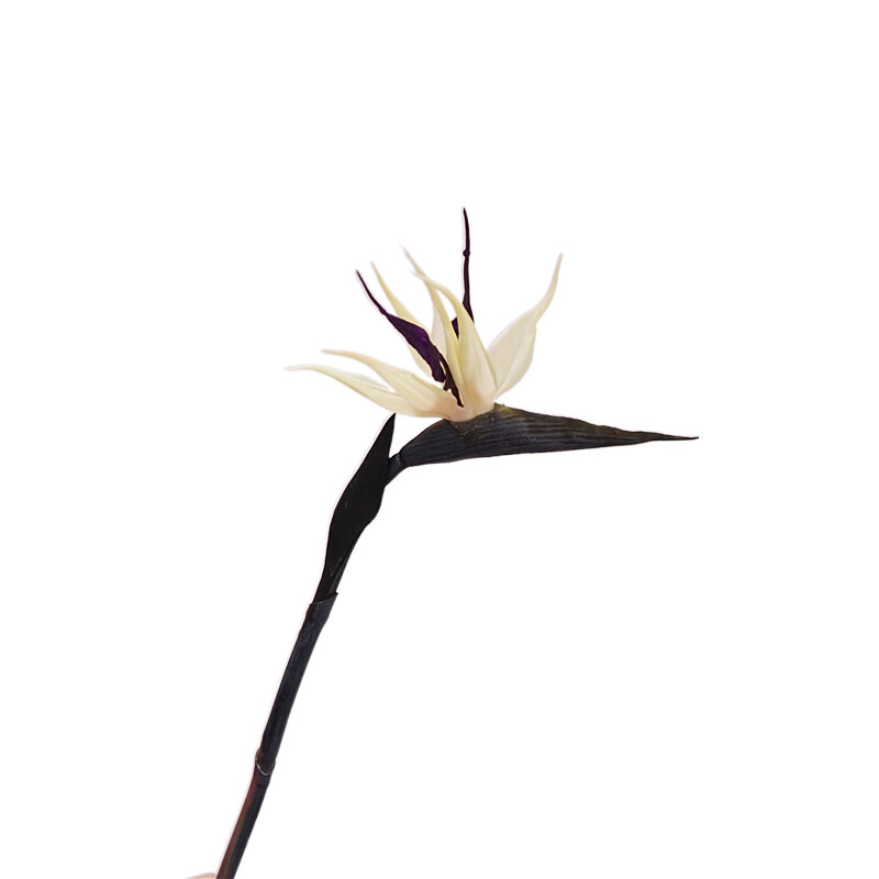 bird of paradise high quality hand feeling artificial flower home decoration sample room decoration photography props plastic fake flower wholesale Specification drawing