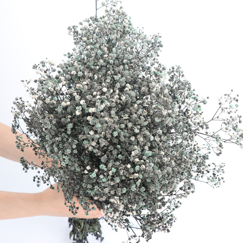 starry sky preserved fresh flower dried flower manufacturers starry sky valentine's day teacher's day gift decoration diy flower wholesale details Picture