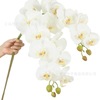 9-head 70cm phalaenopsis floral ornaments living room coffee table tv cabinet decoration fake flower decoration Application Scenario