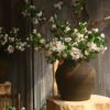 single stem qianli incense schisandra propinqua wuli township cross mountain incense artificial/fake flower home decoration living room decoration Application Scenario