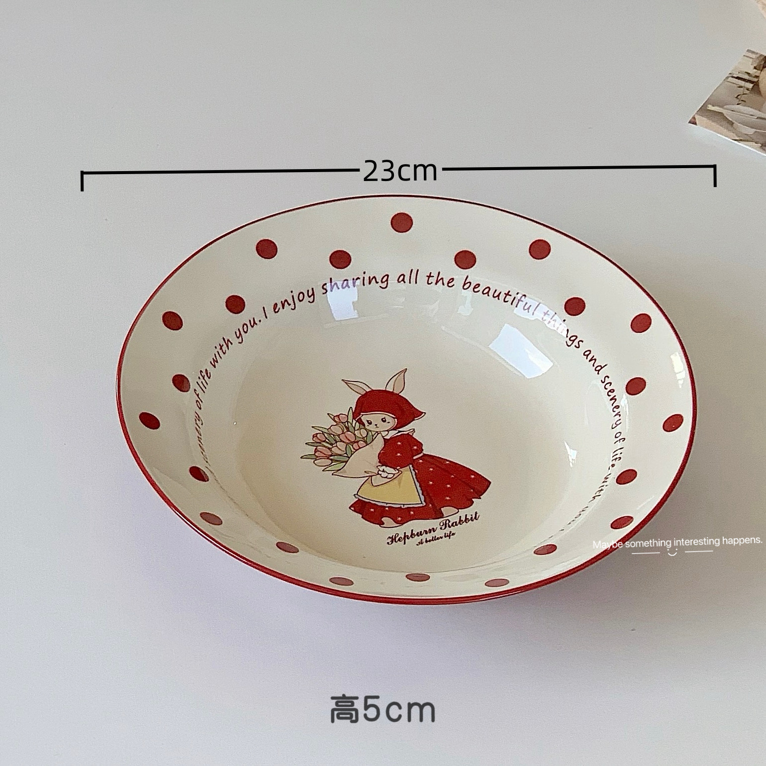net red ceramic plate high-grade household dinner plate plate ins style good-looking plate salad dish fish dish soup plate full figure