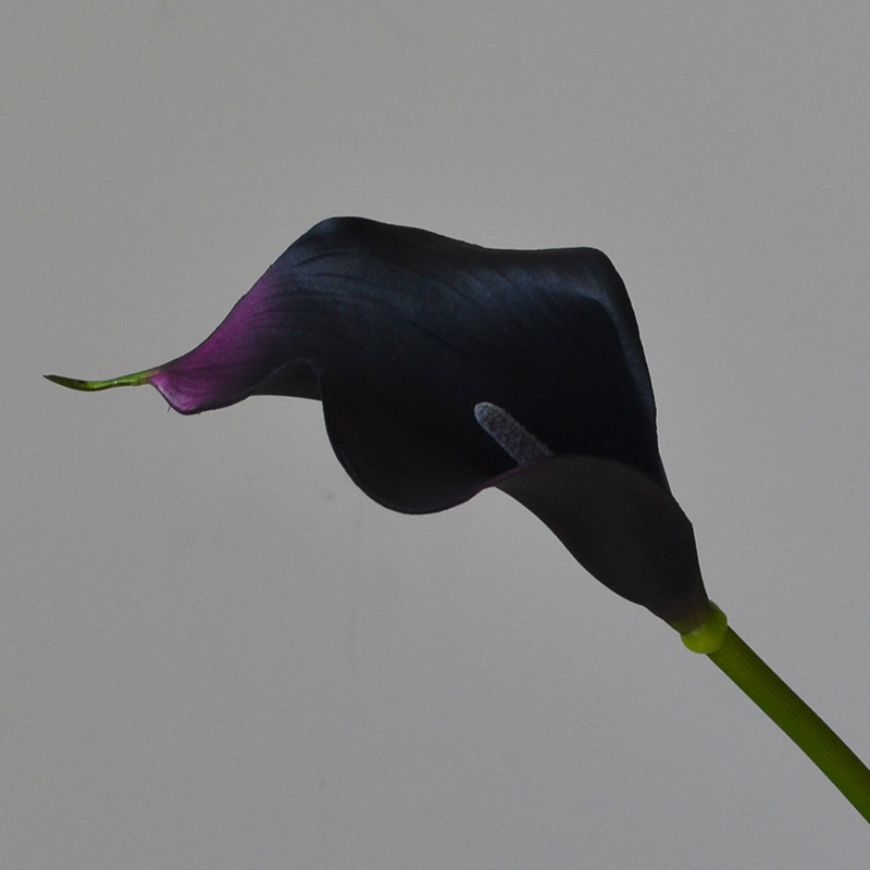 cross-border foreign trade wholesale artificial flower home decoration medium hand feeling common calla flower arrangement in living room and dining table fake flower photography Item Picture
