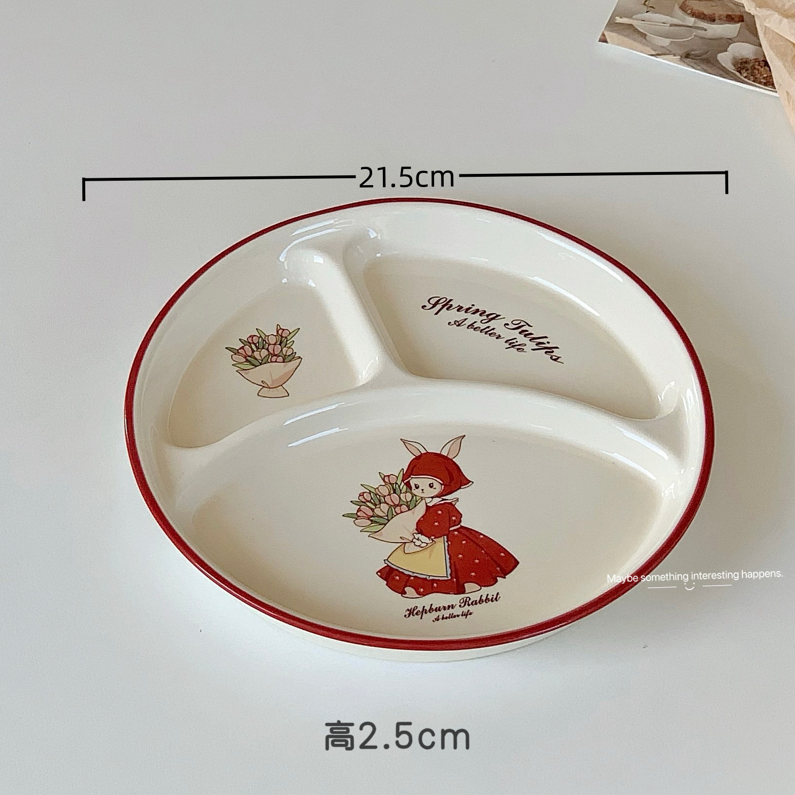 net red ceramic plate high-grade household dinner plate plate ins style good-looking plate salad dish fish dish soup plate Application Scenario