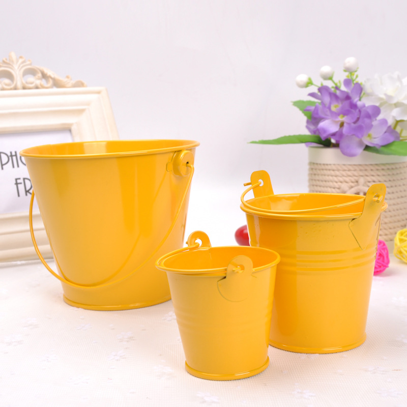 home decoration metal crafts mini small iron bucket creative tinplate succulent bonsai table storage bucket Item Picture