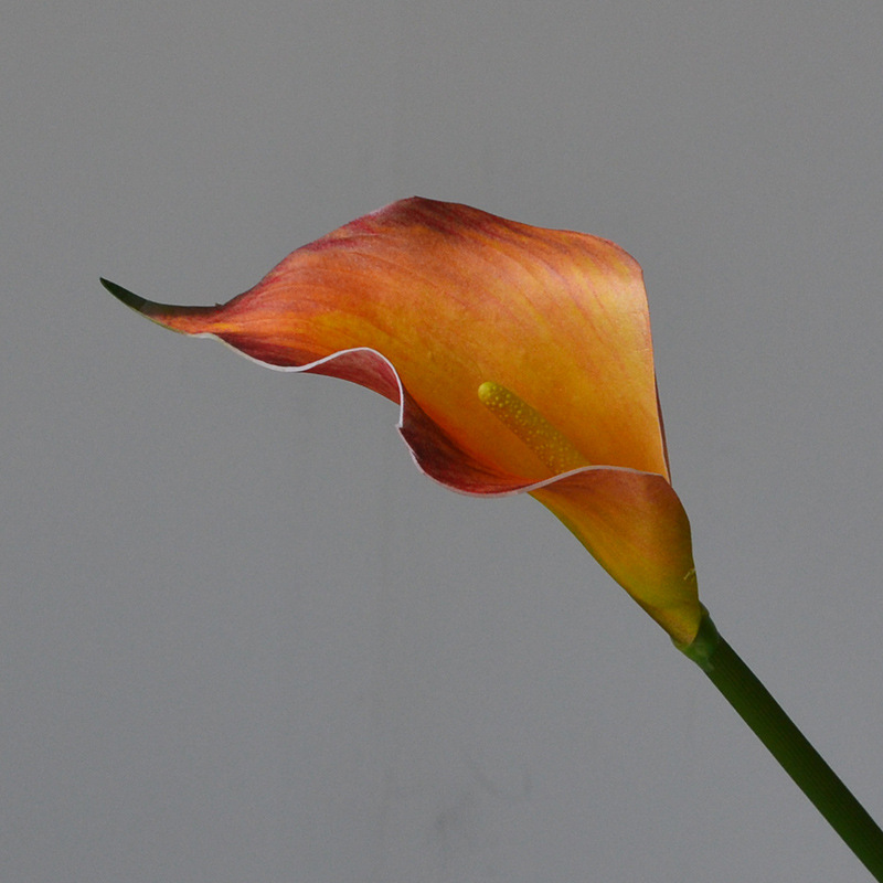 cross-border foreign trade wholesale artificial flower home decoration medium hand feeling common calla flower arrangement in living room and dining table fake flower photography details Picture