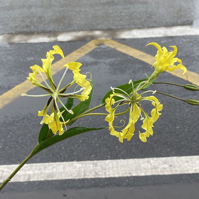 jialan artificial flower feel flame lily home desktop decorative floral artist flower arrangement photography props window chen full figure