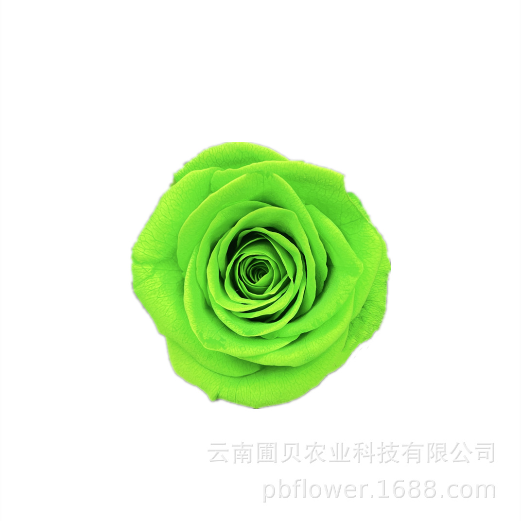 flower immortal flower box diy multi-color accessories b- grade rose flowers flower head spot low price wholesale full figure