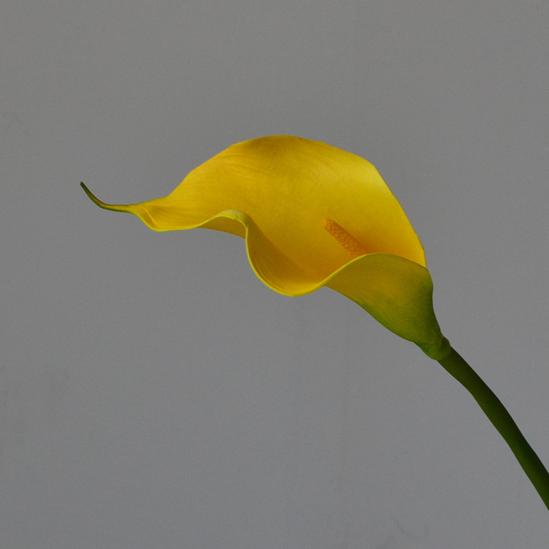 cross-border foreign trade wholesale artificial flower home decoration medium hand feeling common calla flower arrangement in living room and dining table fake flower photography full figure