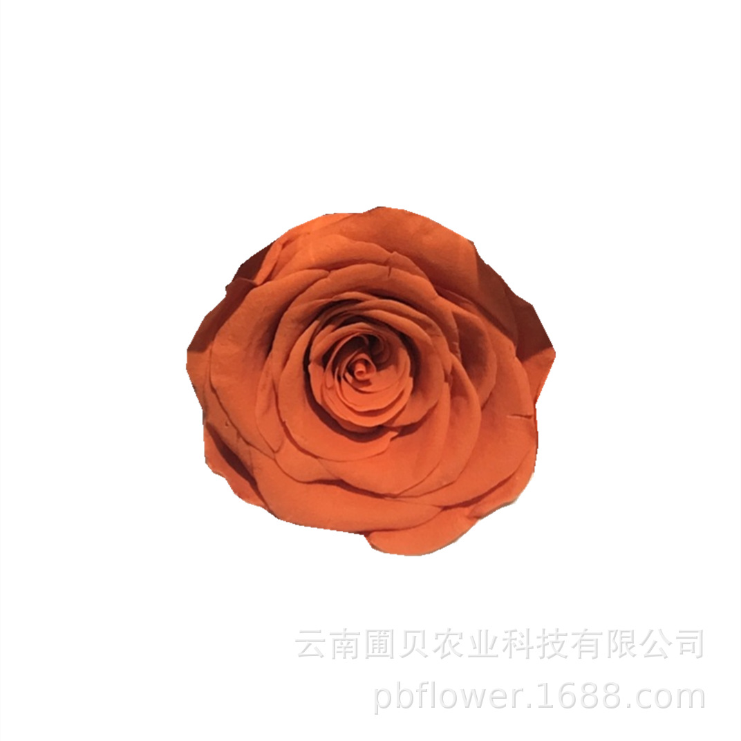 flower immortal flower box diy multi-color accessories b- grade rose flowers flower head spot low price wholesale Application Scenario