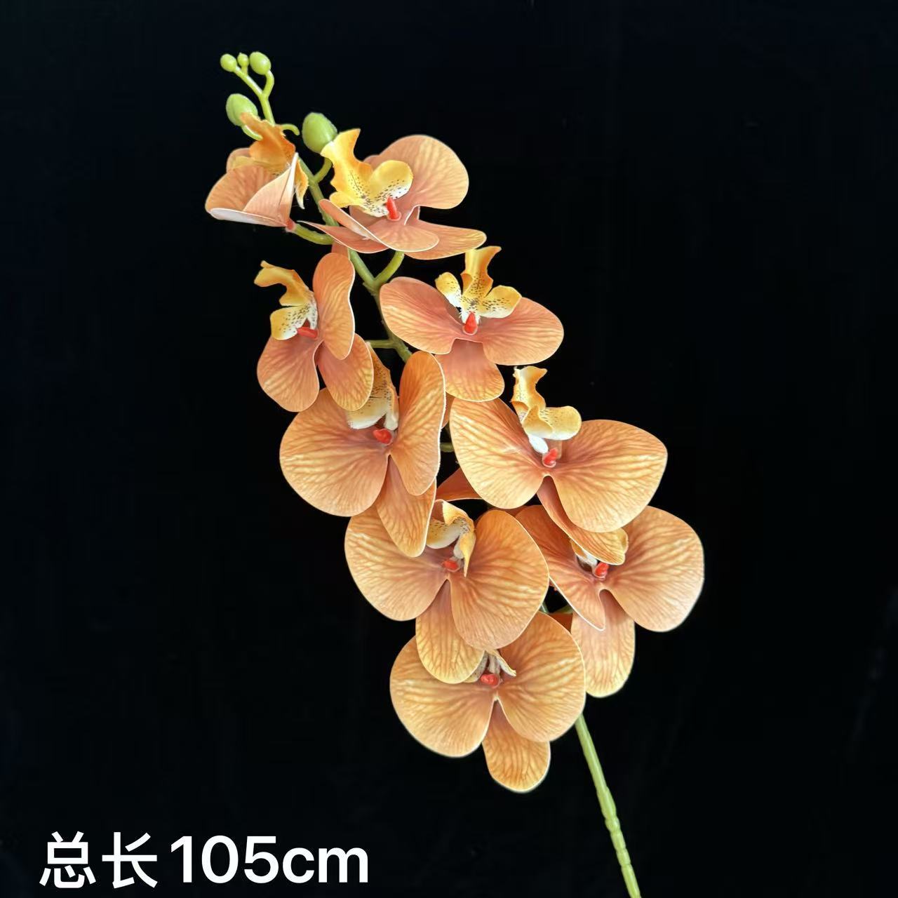 9-head film phalaenopsis artificial flower feel high sense fake flower orchid wedding flowers flower arrangement home ornamental flower Specification drawing