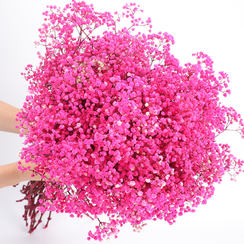 starry sky preserved fresh flower dried flower manufacturers starry sky valentine's day teacher's day gift decoration diy flower wholesale Specification drawing