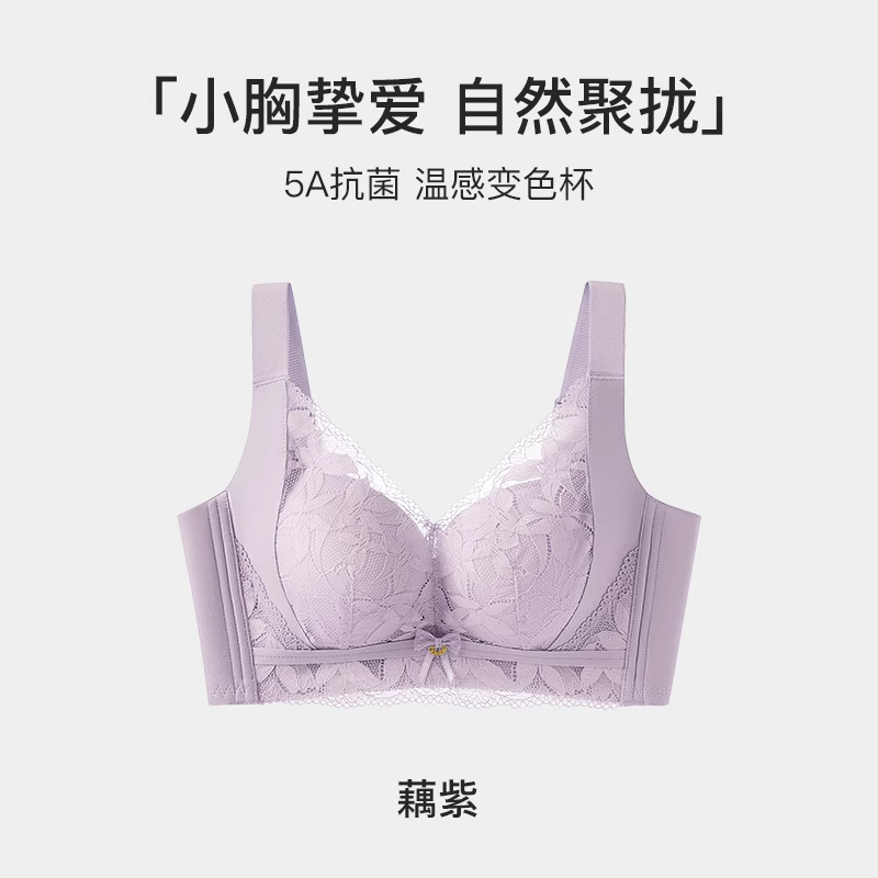 new lace underwear bra for women push up small size breast holding anti-sagging non-marking fixing cup adjusting bra Item Picture