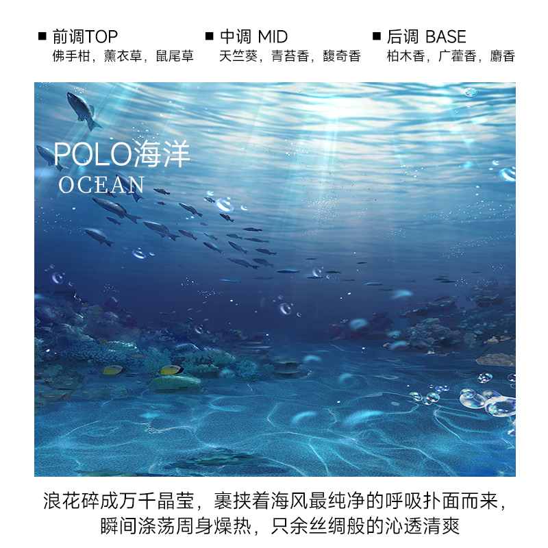all-season zen tea aromatherapy hotel fragrance decoration household bedroom long-lasting perfume toilet reed diffuser essential oil Specification drawing
