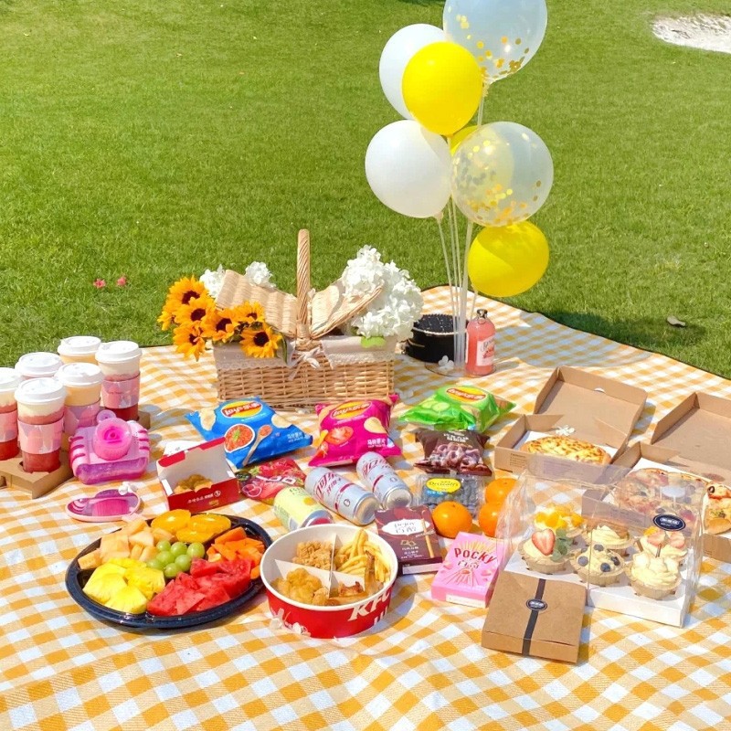 picnic mat outing waterproof moisture-proof beach mat thickened outdoor camping picnic floor mat camping picnic moisture proof pad Application Scenario