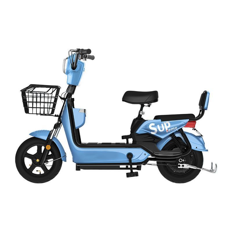 2025 new national standard can be branded electric bicycle battery car lithium battery walking golden eagle free shipping factory direct sales Item Picture