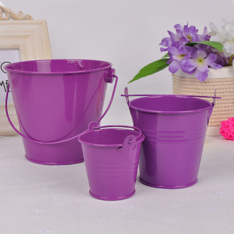 home decoration metal crafts mini small iron bucket creative tinplate succulent bonsai table storage bucket Application Scenario