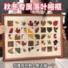 deciduous photo frame 48/36 palace grid diy leaves specimen box maple leaf parent-child handmade specimen design good-looking table decoration Item Picture