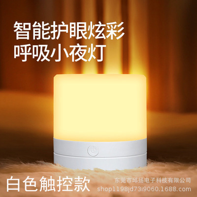 bedside touch atmosphere led small night lamp baby feeding usb charging timing colorful creative multifunctional kt-c full figure