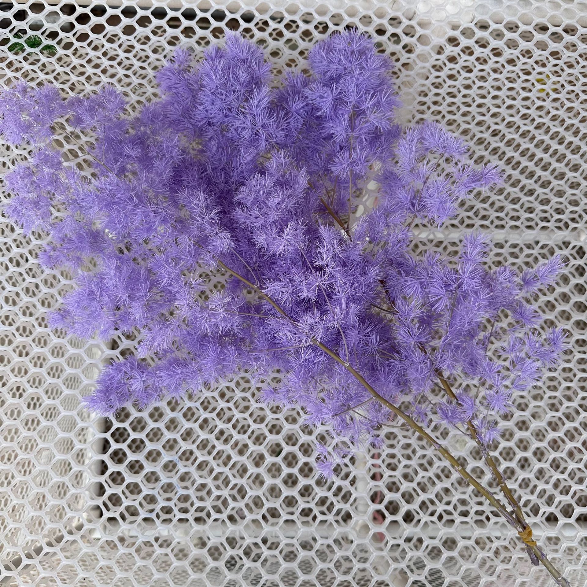 preserved fresh flower penglai song dried flowers bouquet real flower diy accessories wedding celebration decoration soft decoration cross-border supply factory wholesale Specification drawing