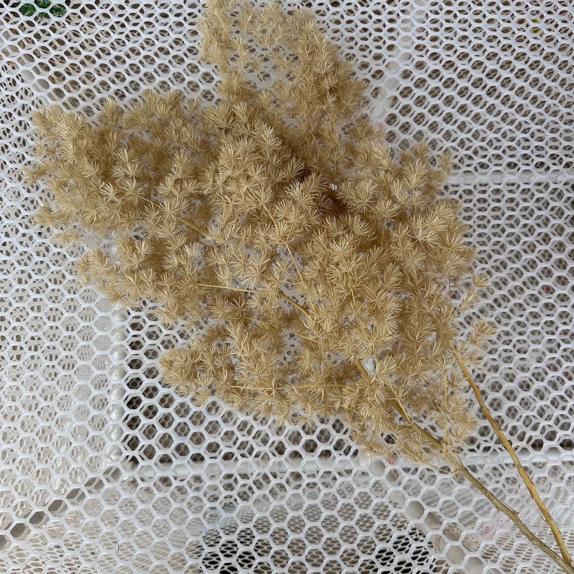 preserved fresh flower penglai song dried flowers bouquet real flower diy accessories wedding celebration decoration soft decoration cross-border supply factory wholesale Application Scenario