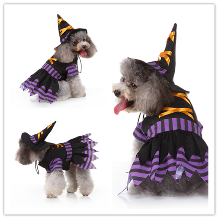 factory cross-border pet clothes wizard funny universal puppy pet clothing dog dog clothes autumn and winter dog clothes Application Scenario