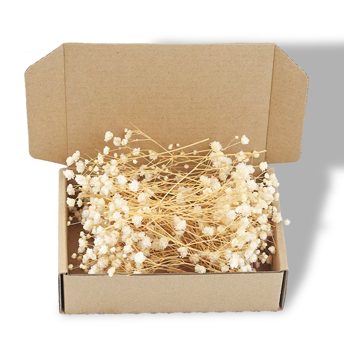 [cross-border hot selling] bulk starry sky dried flower eternal flower diy flowers support wholesale and cross-border delivery Specification drawing