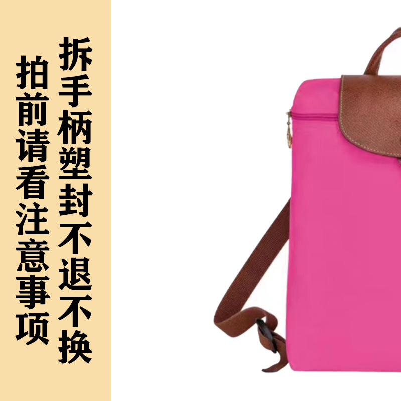 guangzhou yadin trade lx-backpack casual bag waterproof folding bag portable traveling backpack Item Picture