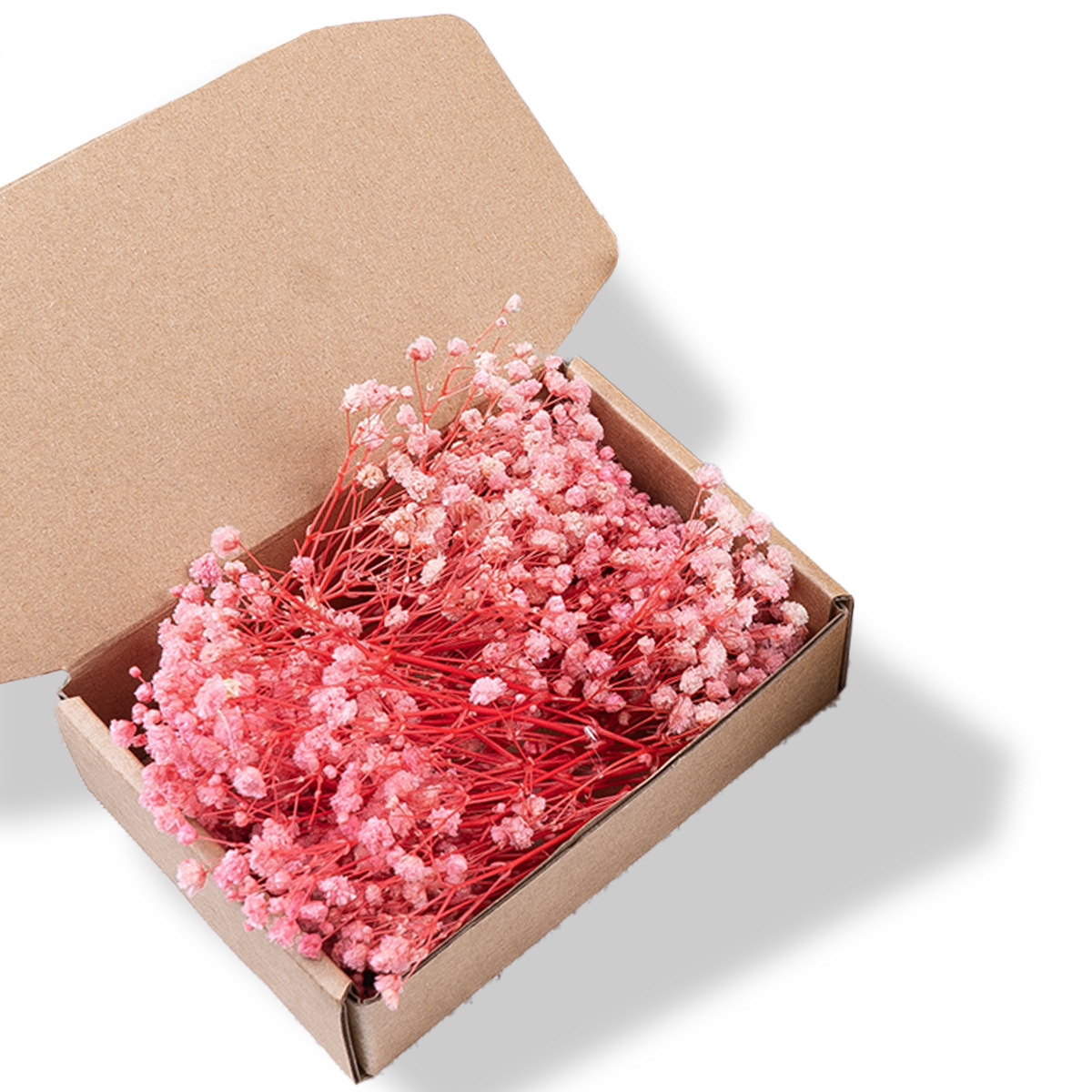 [cross-border hot selling] bulk starry sky dried flower eternal flower diy flowers support wholesale and cross-border delivery details Picture