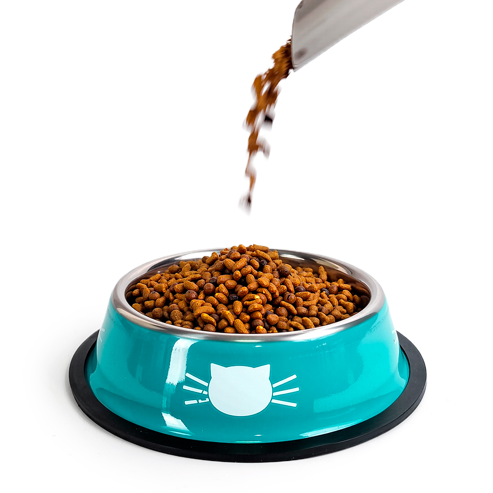 宠物猫猫食具宠物用品猫狗食具宠物大容量喂食器宠物喂水器宠物用品实用耐用多功能