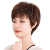 wig women's short hair texture mother full hair type middle-aged and elderly human hair hair cover women's real hair wig head cover full figure