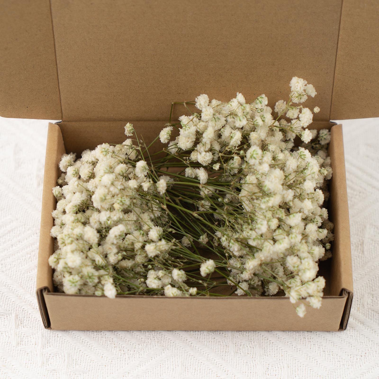 [cross-border hot selling] bulk starry sky dried flower eternal flower diy flowers support wholesale and cross-border delivery Item Picture