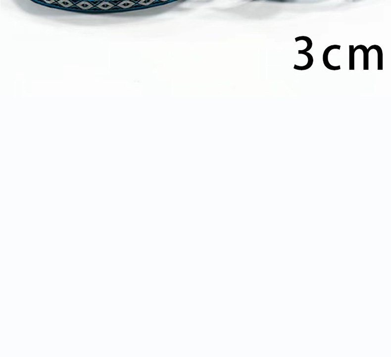 Fashionable 3.2cm new ethnic style jacquard hemmed webbing fabric, exquisite collar, ethnic minority clothing accessory belt pic 12