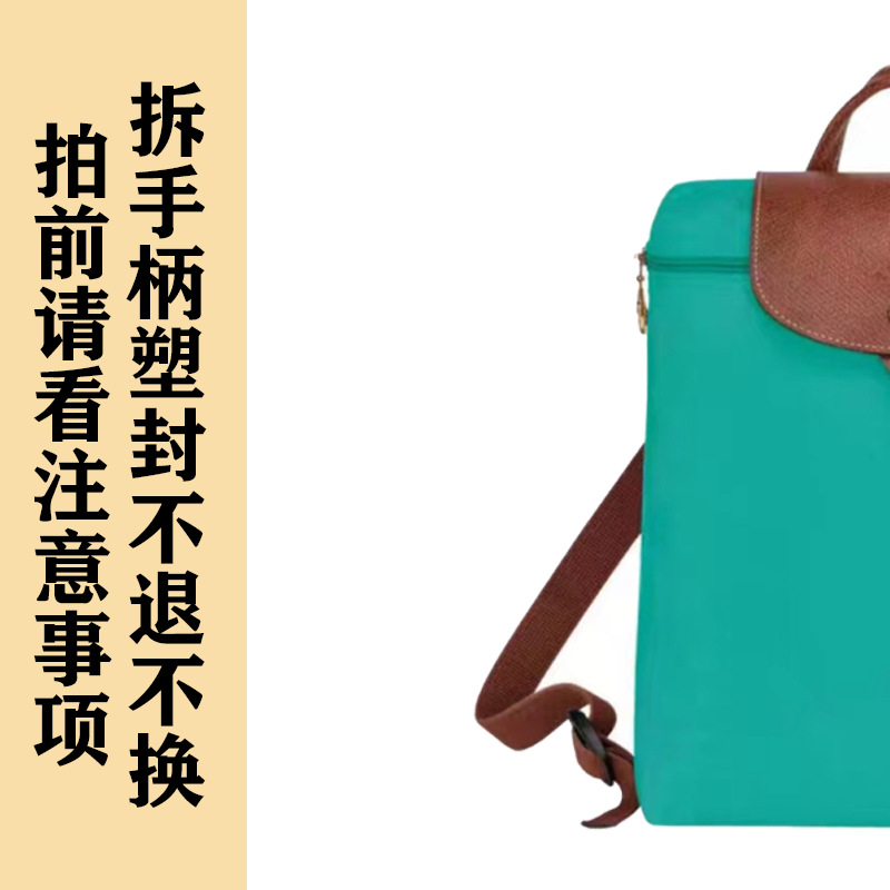 guangzhou yadin trade lx-backpack casual bag waterproof folding bag portable traveling backpack Specification drawing