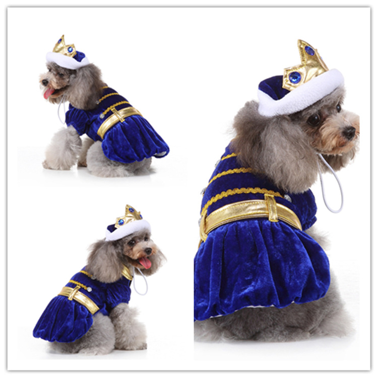 factory cross-border pet clothes wizard funny universal puppy pet clothing dog dog clothes autumn and winter dog clothes Specification drawing